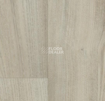 Линолеум Forbo SureStep Wood 18372 white chestnut фото 1 | FLOORDEALER